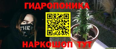 стаф Рузаевка