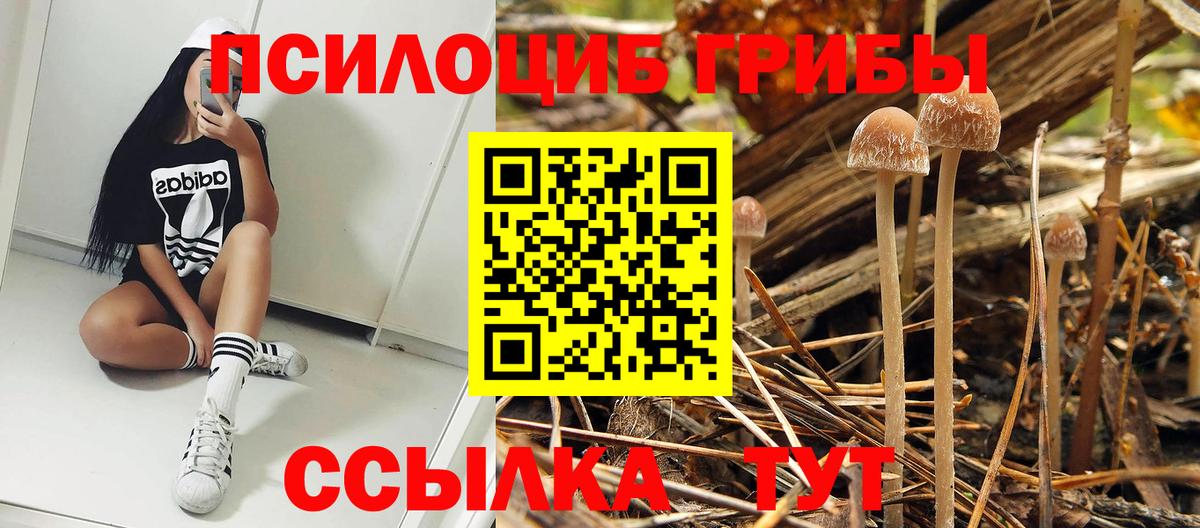 Галлюциногенные грибы GOLDEN TEACHER Отрадное